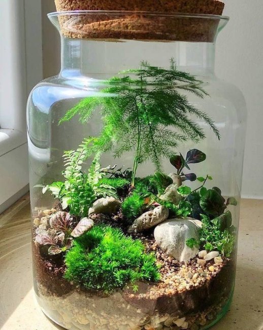 Mechárium - život ve skle