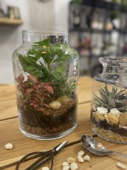 Mechárium - život ve skle