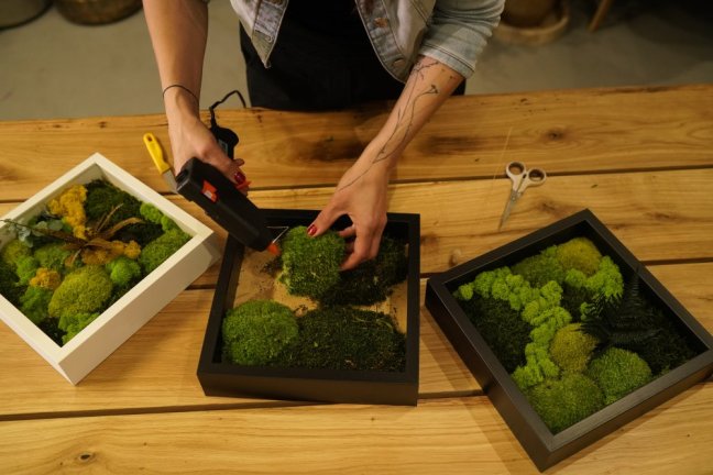 Mechový obraz - Termíny kurzu: 13.11. 2025 od 16.30, Barva obrazu: Černý rám