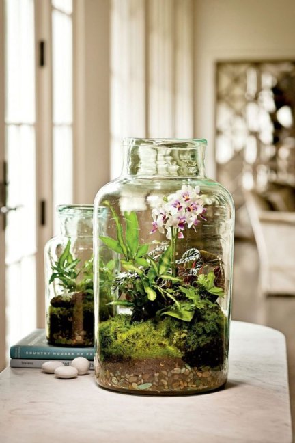 Mechárium - život ve skle