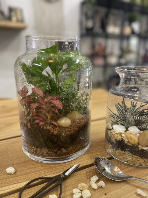 Mechárium - život ve skle